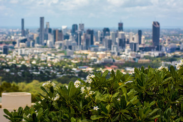 Gardens in foreground with skyscrapers in background