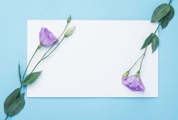 Flowers composition. Wreath made of pink flowers with white paper card on blue background. Flat lay, top view, copy space