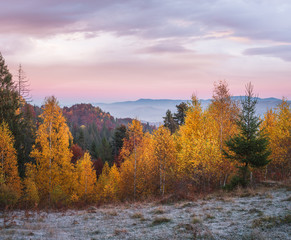 Autumn landscape with forest on the slopes