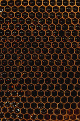 Background hexagon texture, wax honeycomb from a bee hive filled with golden honey. Honeycomb macro yellow sweet honeys from beehive. Honey nectar of bees honeycombs