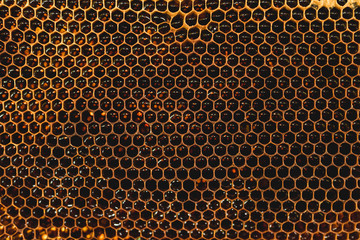 Background hexagon texture, wax honeycomb from a bee hive filled with golden honey. Honeycomb macro yellow sweet honeys from beehive. Honey nectar of bees honeycombs