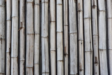 Dry weathered bamboo lacquered background fence