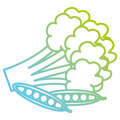 fresh broccoli with beans