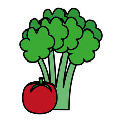 fresh tomato and broccoli