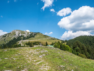 Fototapeta na wymiar Gipfel des Schafberg in Österreich