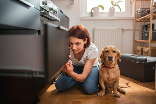 Woman With Dog Building Kitchen And Using A Cordless Drill