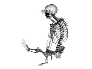 X RAY SKELETON 3D RENDER