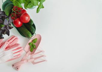 composition of gardening tools and vegetables  on white  background