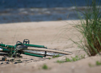 green plant and bicycle, on beach sand with sea in background