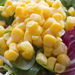Italian yellow corn salad