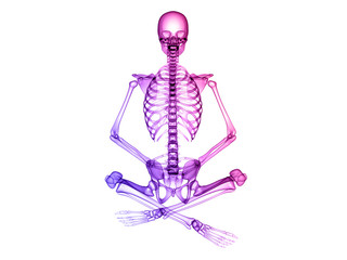 X RAY SKELETON 3D RENDER