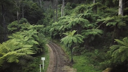 Flying above the Puffing Billy train line in Melbourne Australia