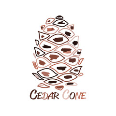 Cedar cone, sketch for your design