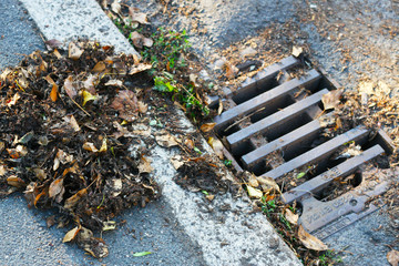 Abfluss einer Kanalistion an der Straße nach Regen, Ansammlung von Laub, Gulli, Herbst, Herbstlaub, Frühjahrsputz und Straßenpflage, die Strasse fegen und Abflüsse reinigen, Wartungsarbeiten