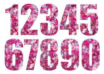 Figures from 1 to 9 with print. With the image of pink flowers.