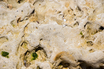 The surface of an old rock with cracks. Old rock texture (wild background)