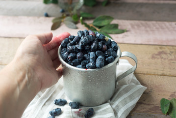 Honeysuckle berry in metal cup with green leaves on a wooden table and human hand