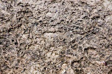 The surface of an old rock with cracks. Old rock texture (wild background)