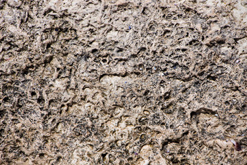 The surface of an old rock with cracks. Old rock texture (wild background)