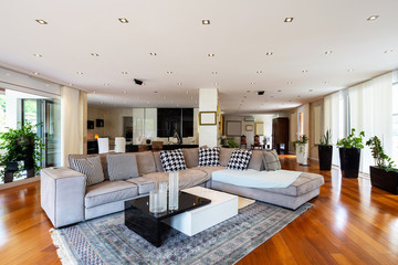 Modern living room with large leather sofa