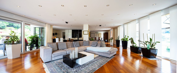 Modern living room with large leather sofa