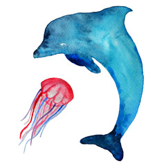 Watercolor dolphin and sea inhabitants,  isolated on a white background. Hand drawn illustration.