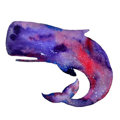 Watercolor whale isolated on a white background. Sky and stars texture. Hand drawn illustration.