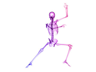 X RAY SKELETON 3D RENDER