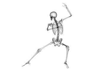 X RAY SKELETON 3D RENDER