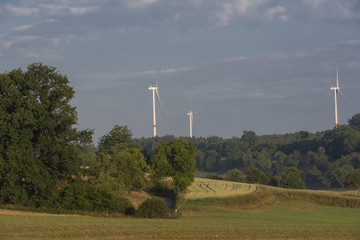 Wind turbines behind a forest