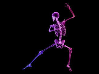 X RAY SKELETON 3D RENDER