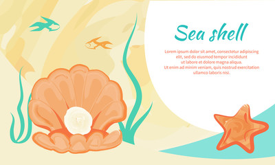 Fototapeta na wymiar Sea Shell Creative Poster with Valued Gemstone