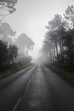 Route des Landes