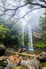 Fototapeta na wymiar Twin Falls hike in the Springbrook National Park, Queensland
