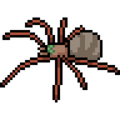 Fototapeta premium vector pixel art spider
