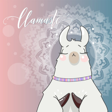 Lama in cartoon style. Namaste quote. Mandala background. Hand drawn vector illustration. Elements for greeting card, poster, banners. T-shirt, notebook and sticker design