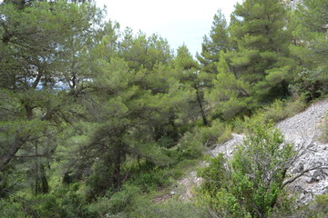 Obraz premium Mediterranean