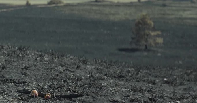 Shot on Red 6k 85fps
