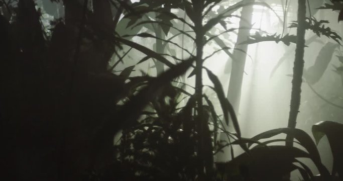Shot on Red 6k 85fps