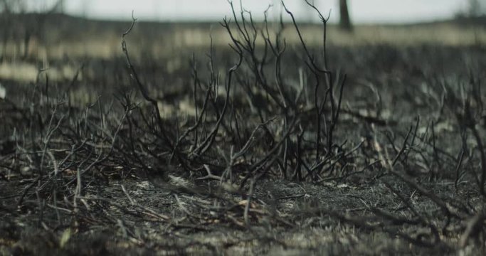 Shot on Red 6k 85fps