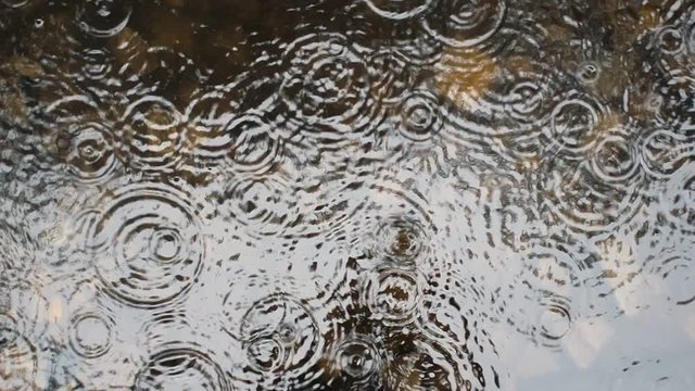 Warm summer rain drops rippling in a puddle.