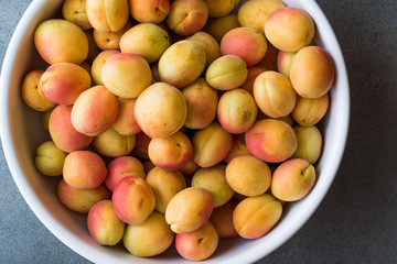 Raw Ripe Organic Orange Pile of Apricots in Big Bowl.