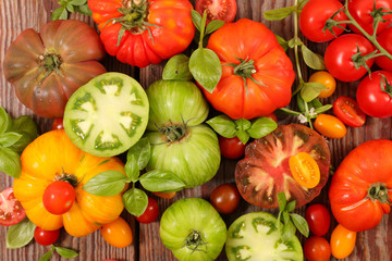 assorted variety of tomatoes
