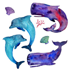Watercolor whales, dolphins and sea elements isolated on a white background. Sky and stars texture. Sea, ocean life. Hand drawn illustration