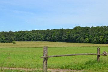 Fototapeta na wymiar jolie campagne de Haute-Saône près de Athesan, Franche-Comté, France
