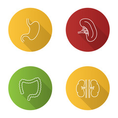 Internal organs flat linear long shadow icons set