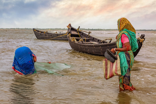 Rural Women Fishing With Nets At Sea With View Of Wooden Fishing Boats At The Coastal Area Of Kirtania Orissa India.