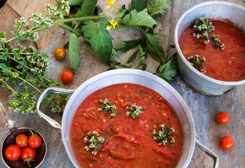 Frische Tomatensuppe mit Oregano 