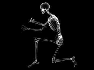 X RAY SKELETON 3D RENDER