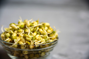Bowl with mung bean with sprouts